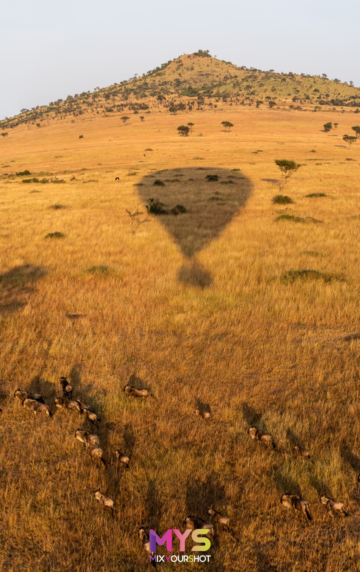 Safari photograph by Raffaele Cabras Keller — photograph 15