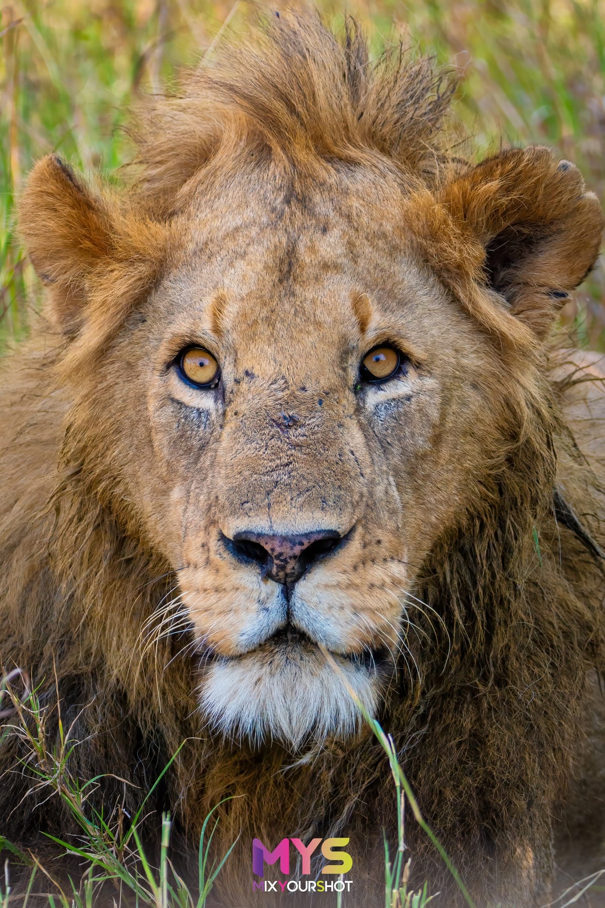 Safari photograph by Raffaele Cabras Keller — photograph 24