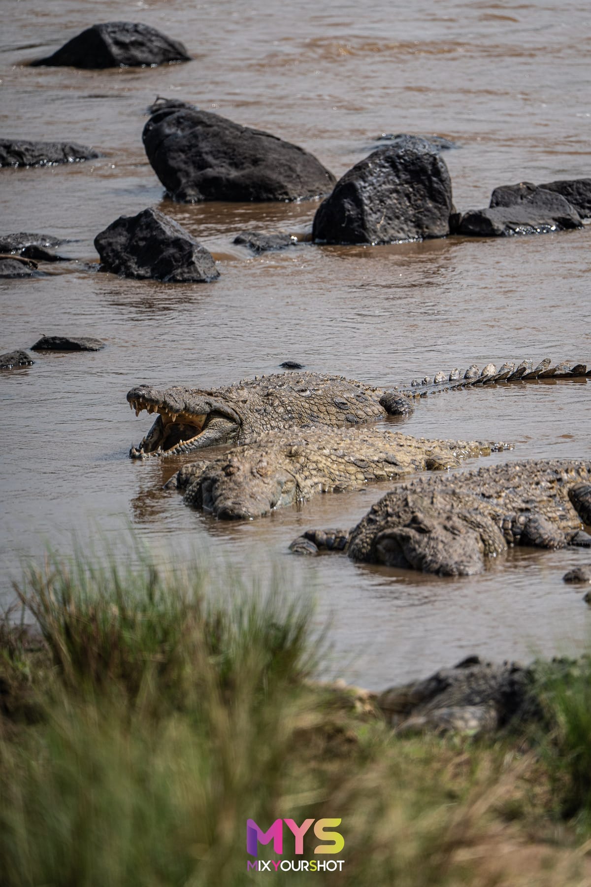 Safari photograph by Raffaele Cabras Keller — photograph 32