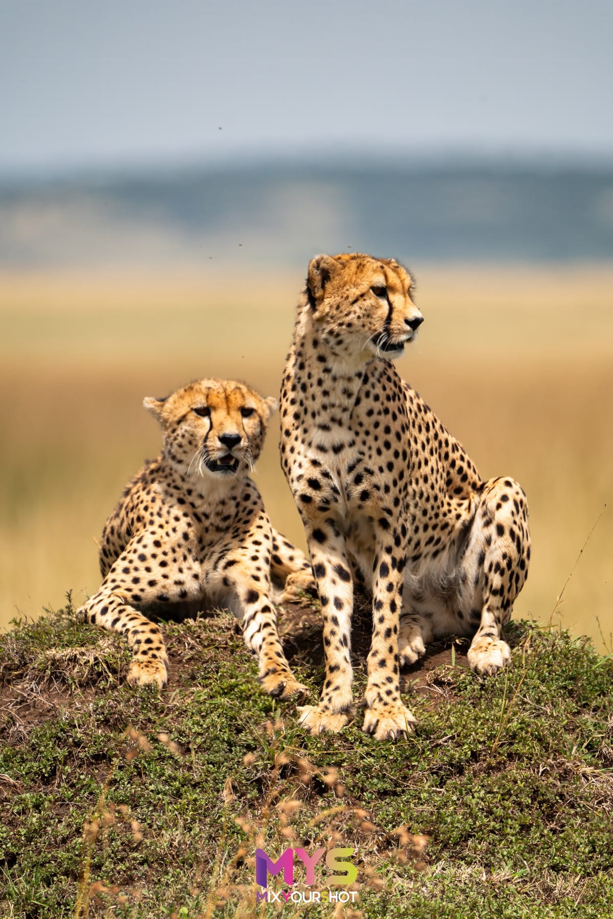 Safari photograph by Raffaele Cabras Keller — photograph 33