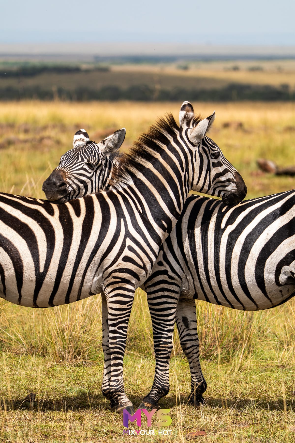 Safari photograph by Raffaele Cabras Keller — photograph 34