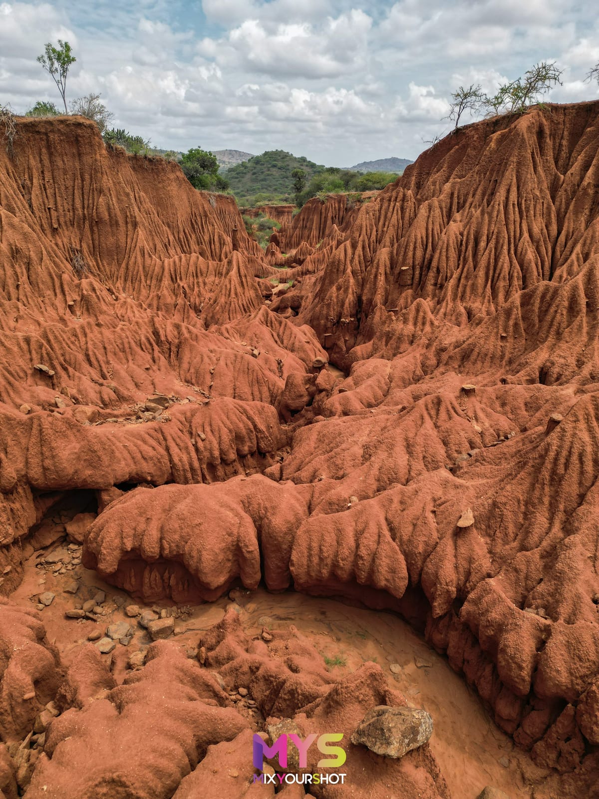 Safari photograph by Raffaele Cabras Keller — photograph 45