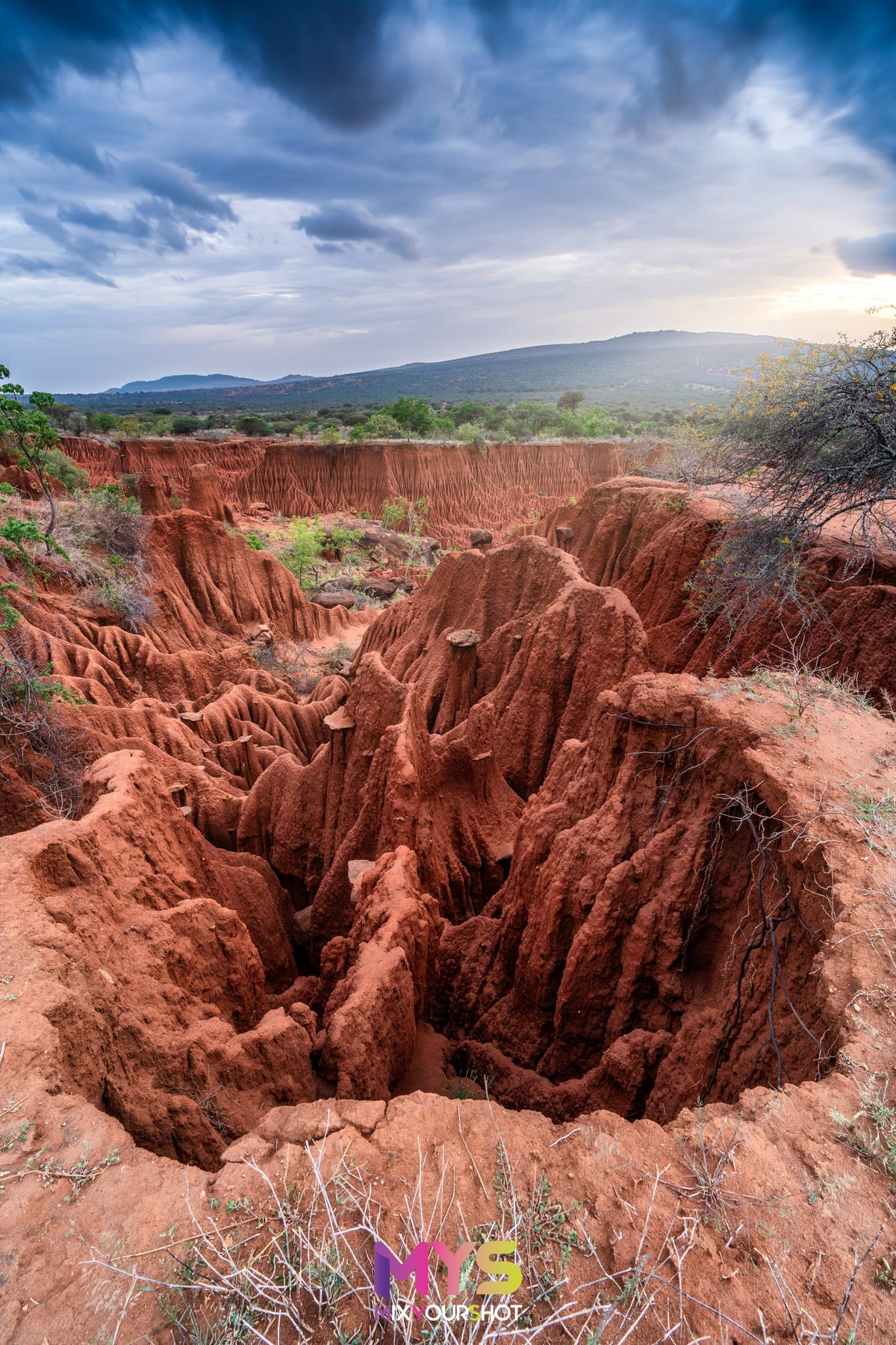 Safari photograph by Raffaele Cabras Keller — photograph 47